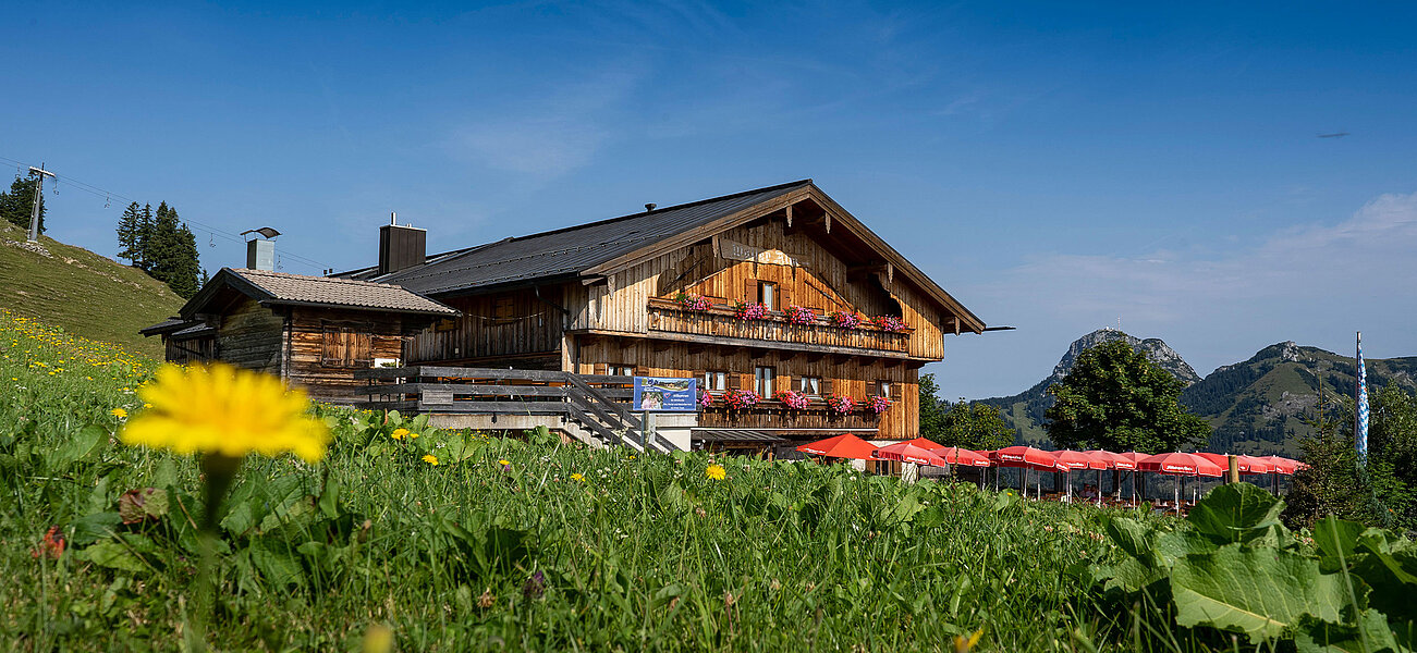 Sommer auf der Walleralm
