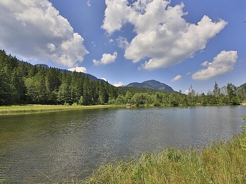 Suttensee